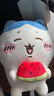 名創(chuàng  )優(yōu)品（MINISO）Chiikawa哈奇喵西瓜系列毛絨公仔玩偶兒童玩具娃娃抱枕生日禮物女 曬單實(shí)拍圖