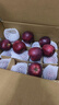 2025年現摘甘肅天水花牛蘋(píng)果整箱當季新鮮紅蛇果粉面寶寶輔食A15 帶箱9斤凈重8斤  果徑65-70mm 曬單實(shí)拍圖