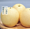 【產(chǎn)地直采】河北老樹(shù)皇冠梨4粒 約1.2kg 曬單實(shí)拍圖