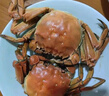 【活蟹】湖鮮陽(yáng)澄大閘蟹公3.8-4.1兩 母2.8-3.1兩4對8只去繩足重年貨送禮螃蟹禮盒海鮮 曬單實(shí)拍圖