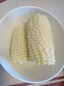 佳農寶菜帶綠皮鮮白甜玉米凈重3.8斤可生吃牛奶爆漿玉米5-8根源頭直發(fā) 曬單實(shí)拍圖