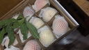 佐什北京平谷桃 水蜜桃大桃鮮桃子脆甜軟桃新鮮當季時(shí)令水果 平谷桃禮盒 12顆裝 單果4兩 曬單實(shí)拍圖
