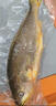 鮮京采冷凍三去黃花魚(yú)(寧德大黃魚(yú))1700g(5條裝)禮盒 曬單實(shí)拍圖