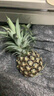 正宗海南金鉆鳳梨菠蘿新鮮菠蘿水果帶皮整箱香水鳳梨壞果包賠 1粒裝單果400-650g 曬單實(shí)拍圖
