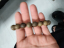 靈木閣沉水級天然越南芽莊白奇楠沉香手串文玩男女士108顆佛珠棋楠手鏈 【全沉水 】12MM 天然奇楠沉香 曬單實(shí)拍圖