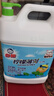 白貓 檸檬薄荷洗潔精5kg A類(lèi)食品用祛油除腥青檸薄荷香洗潔精 曬單實(shí)拍圖