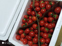京源采現摘圣女果小番茄5斤西紅柿新鮮水果酸甜櫻桃番茄孕婦產(chǎn)地直發(fā) 廣西圣女果【店長(cháng)推薦】5斤凈重4.8斤 曬單實(shí)拍圖