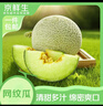 京鮮生海南網(wǎng)紋瓜 凈重4-5斤 2粒網(wǎng)紋蜜瓜 生鮮水果 源頭直發(fā)包郵 曬單實(shí)拍圖