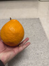 生活＆好管家 四川春見(jiàn)耙耙柑新鮮水果應季橘子現摘孕婦水果整箱桔子橘子 精品級商超果 8.5-9斤【單果90mm+】?jì)糁?斤 曬單實(shí)拍圖