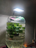 尼奧光（NEO-HELIOS）魚(yú)缸燈水草燈LED燈S3pro+RGB植物光譜 【二代】8W尼奧S3【適用20-30魚(yú)缸】 曬單實(shí)拍圖