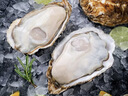 鮮京采 鮮活生蠔5XL 凈重5斤 9-12只 鮮活到家 海鮮 源頭直發(fā) 曬單實(shí)拍圖
