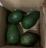 山姆大叔 金獎·哈斯牛油果【閃送】智利鱷梨非即食新鮮牛油果水果禮盒裝 【80%選擇】精品果丨約100-130g 6枚【熱銷(xiāo)* 超值推薦】普裝 曬單實(shí)拍圖