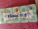 舒潔（Kleenex）卷紙衛生紙綠茶洋甘菊清香印花有芯卷紙3層250節*10卷紙巾廁紙 曬單實(shí)拍圖