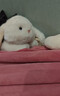 名創(chuàng  )優(yōu)品（MINISO）塔尼兔系列趴姿公仔毛絨玩具玩偶兔子娃娃抱枕生日禮物女 曬單實(shí)拍圖