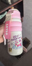 迪士尼（Disney）兒童保溫杯小學(xué)生上學(xué)專(zhuān)用水杯一蓋雙飲杯女生便攜吸管喝水杯禮物 曬單實(shí)拍圖
