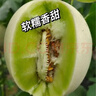 京喜加海南玉菇甜瓜蜜瓜新鮮水果批發(fā)冰激凌甜瓜軟糯甜瓜 9斤（凈重8.2斤） 曬單實(shí)拍圖