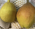 新疆庫爾勒香梨 水果生鮮新疆特產(chǎn)JD快遞送貨上門(mén) 帶箱5斤裝凈重4.5斤單果100g 曬單實(shí)拍圖