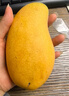 金煌芒新鮮海南熱帶水果整箱發(fā)貨  京東快遞 帶箱2斤單果250克 曬單實(shí)拍圖
