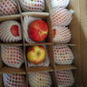 洛川蘋(píng)果陜西延安特產(chǎn)紅富士時(shí)令蘋(píng)果水果禮盒送蘋(píng)果生鮮新鮮脆甜整箱批發(fā) 10斤爆賣(mài)70-75mm（凈重8.5斤） 曬單實(shí)拍圖