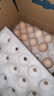 1號會(huì )員店（One's Member）可生食雞蛋30枚凈重3.6斤精選大碼蛋禮盒裝 源頭直發(fā) 曬單實(shí)拍圖