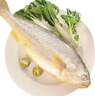 冰鮮 黃花魚(yú)200-300g/條 曬單實(shí)拍圖