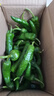 湖南樟樹(shù)現摘新鮮薄皮小青椒超市品質(zhì)生鮮蔬菜辣椒 凈重1斤1人一餐炫完 曬單實(shí)拍圖