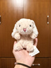 Jellycat米色甜美小兔小短腿公仔動(dòng)物毛絨玩偶娃娃送禮生日禮物 甜美小兔 One Size 曬單實(shí)拍圖