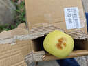 山東青蘋(píng)果新鮮水果當季現摘孕婦綠蘋(píng)果應季時(shí)令整箱脆甜酸甜 凈重5斤（65-70mm） 曬單實(shí)拍圖