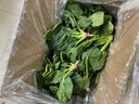霜打菠菜趴地矮腳當季蔬菜河南趴地菠菜新鮮菠菜 霜打菠菜5斤 露天趴地菠菜現挖現發(fā) 曬單實(shí)拍圖