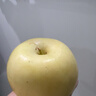 山東奶油富士蘋(píng)果黃金奶油富士蘋(píng)果水果 產(chǎn)地直發(fā) 2顆裝 曬單實(shí)拍圖