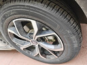 米其林（MICHELIN）汽車(chē)輪胎 215/60R17 100V 浩悅五代 Primacy 5 適配逍客/銳放 曬單實(shí)拍圖