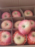 京地達洛川蘋(píng)果紅富士蘋(píng)果陜西新鮮水果整箱脆甜大果8.5斤80mm+源頭直發(fā) 曬單實(shí)拍圖
