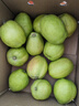 京鮮生新疆庫爾勒香梨 凈重4.5斤單果120g+ 新鮮水果 源頭直發(fā)包郵 曬單實(shí)拍圖