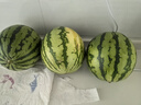 京鮮生 麒麟無(wú)籽西瓜 1粒裝 凈重7-9斤 生鮮水果 曬單實(shí)拍圖