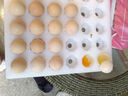 無(wú)抗鮮雞蛋 谷物喂養鮮雞蛋 50±5克/枚 早餐食材 蛋香味十足 30枚裝 曬單實(shí)拍圖
