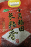 十月稻田 當季新米 長(cháng)粒香大米 20斤（東北大米 香米 10公斤） 曬單實(shí)拍圖