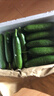 京鮮生 山東荷蘭水果黃瓜 凈4.5斤 單果70g+ 健康輕食早餐蔬菜 源頭直發(fā) 曬單實(shí)拍圖