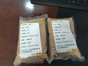 一播大地正常發(fā)貨小麥草種子當年新種子麥苗無(wú)肥榨汁喝大麥種子育苗盆 小麥2斤 曬單實(shí)拍圖