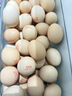 蛋鮮森 可生食土雞蛋 60枚禮盒裝 單枚40g 生鮮雞蛋 日期新鮮 源頭直發(fā) 曬單實(shí)拍圖