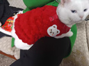 小野七天寵物狗狗衣服新年小中型犬貓咪秋比熊泰迪冬季四腳衣冬季保暖服飾 曬單實(shí)拍圖