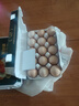 七鮮【無(wú)抗】可生食鮮雞蛋15枚750g 曬單實(shí)拍圖