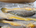 鮮京采冷凍三去黃花魚(yú)(寧德大黃魚(yú))1700g(5條裝)禮盒 曬單實(shí)拍圖