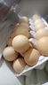 【無(wú)抗】大碼鮮雞蛋1.8kg 曬單實(shí)拍圖