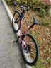 喜德盛公路自行車(chē)AD350碳纖前叉座管功率計齒盤(pán)鋁合金超輕氣動(dòng) 車(chē)厘紫 510mm（適合身高170-180cm） 曬單實(shí)拍圖