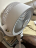 艾美特（AIRMATE）【小暴風(fēng)PRO】空氣循環(huán)扇家用大風(fēng)力搖頭電風(fēng)扇臥室安靜輕音小風(fēng)扇桌面臺式節能落地扇電扇 X231 曬單實(shí)拍圖