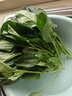 精品山東菠菜時(shí)令蔬菜農家自種現摘現發(fā)新鮮蔬菜生鮮蔬菜火鍋食材 帶箱2斤（凈重1.6斤） 曬單實(shí)拍圖