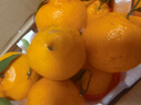 京鮮生 春見(jiàn)耙耙柑 凈重5斤 單果150g起 生鮮柑橘桔子水果禮盒 曬單實(shí)拍圖