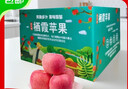 京地達山東煙臺棲霞紅富士蘋(píng)果80級凈重5斤 棲霞蘋(píng)果時(shí)令水果源頭直發(fā) 曬單實(shí)拍圖