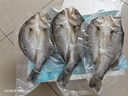 鮮京采三去海鱸魚(yú)3斤/3條 生鮮魚(yú)類(lèi) 白蕉鱸魚(yú)地標 年貨家宴魚(yú)類(lèi)源頭直發(fā) 曬單實(shí)拍圖