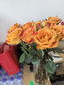 單頭玫瑰隨機色10枝 曬單實(shí)拍圖